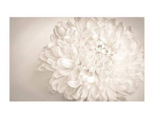 Стол обеденный поворотно раскладной фотопечать БРОНКС / дуб молочный Цветы 019 / опора круглая муар белый