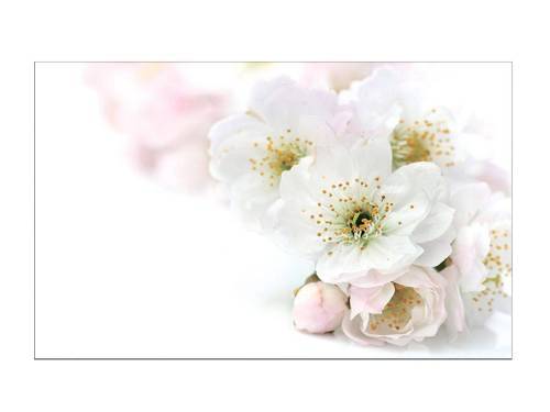 Стол обеденный поворотно раскладной фотопечать БРОНКС / бетон белый Цветы 029 / опора круглая серебристый металлик