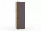 НМ 013.16 Шкаф для одежды Ливорно /дуб бунратти / софт графит