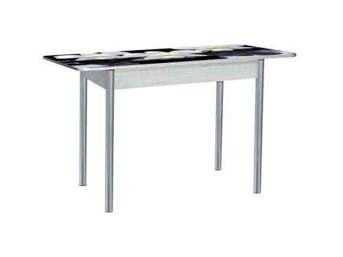 Стол обеденный раздвижной Нью йорк фотопечать / бетон белый Орхидея на черных камнях / опора круглая серебристый металлик