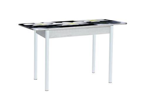 Стол обеденный раздвижной Нью йорк фотопечать / бетон белый Орхидея на черных камнях / опора круглая муар белый