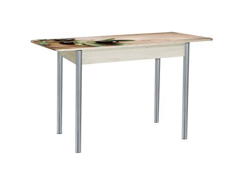 Стол обеденный раздвижной Нью йорк фотопечать / дуб молочный Маслины / опора круглая серебристый металлик